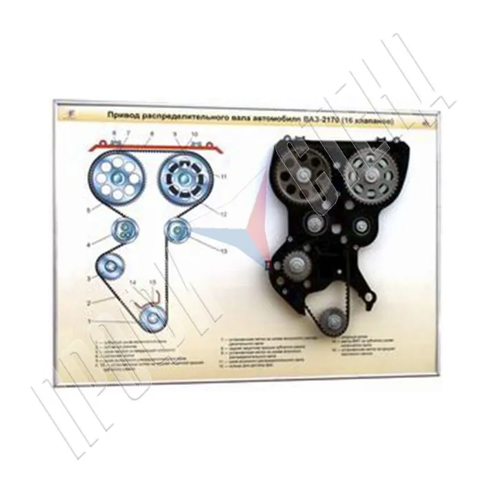 Привод распределительных валов автомобиля ВАЗ-2170 (16 кл.)